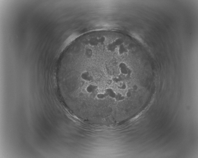 X0000061761259200512161734