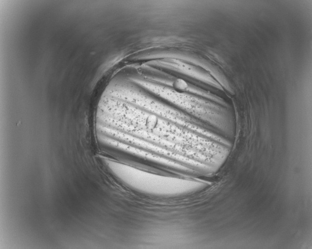 X0000061761261200512161734