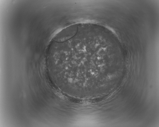 X0000061761263200512161734