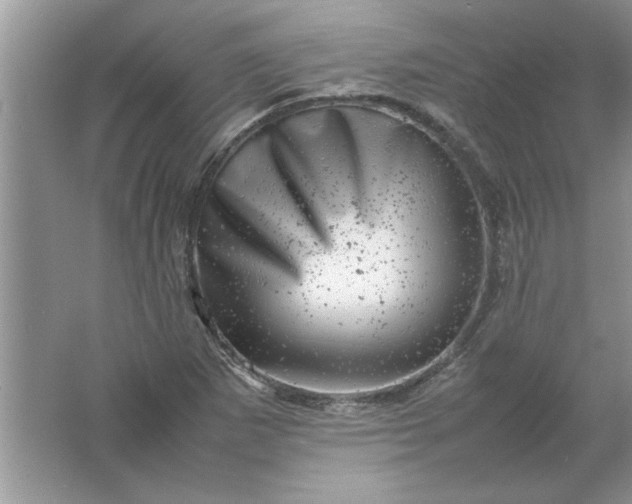 X0000061761265200512161734