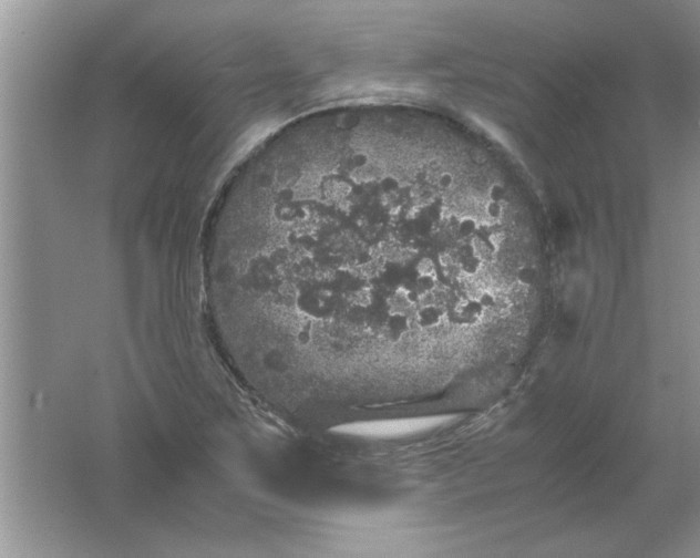 X0000061761267200512161734