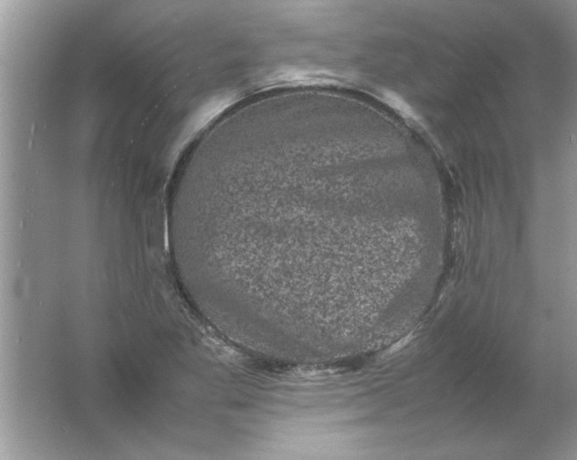 X0000061761269200512161734