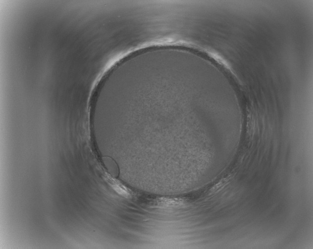 X0000061761270200512161734