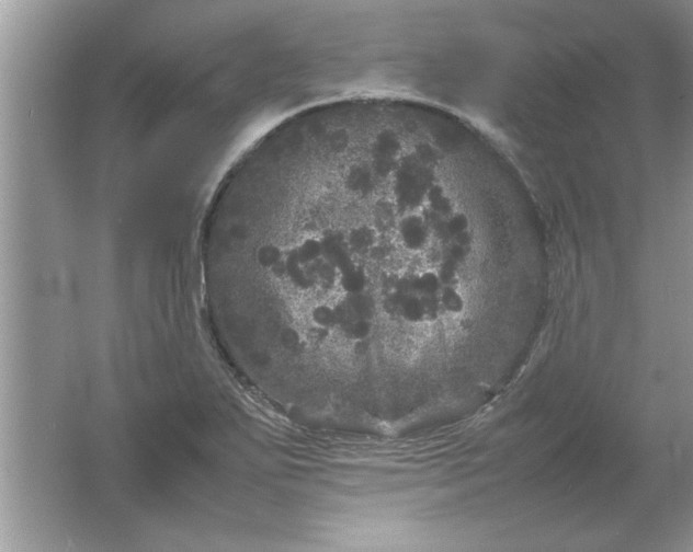 X0000061761271200512161734