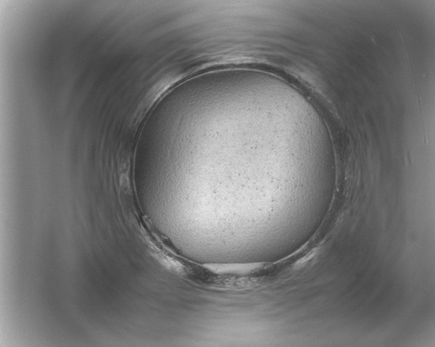 X0000061761273200512161734