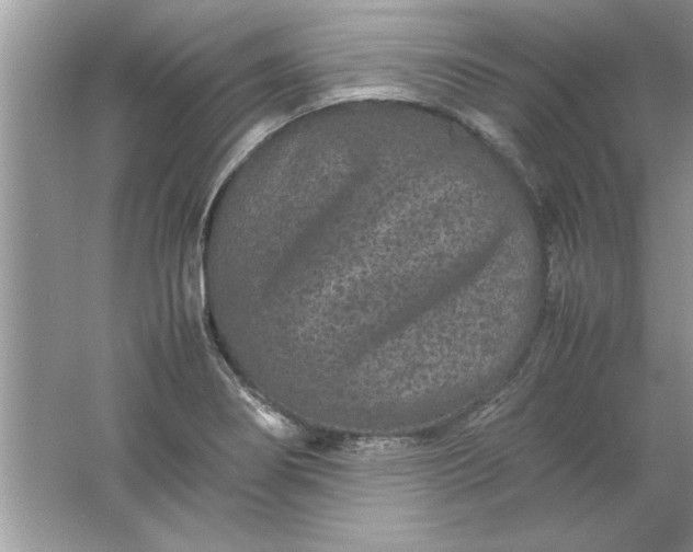 X0000061761274200512161734