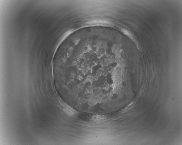 X0000061761275200512161734