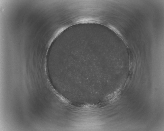 X0000061761277200512161734