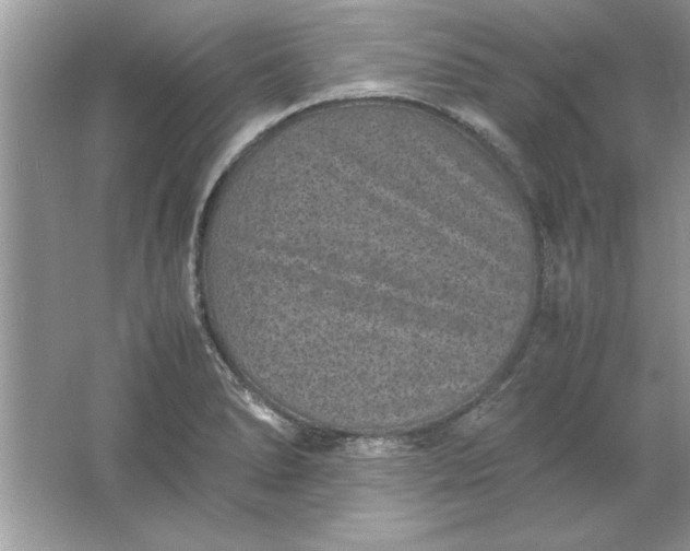 X0000061761278200512161734