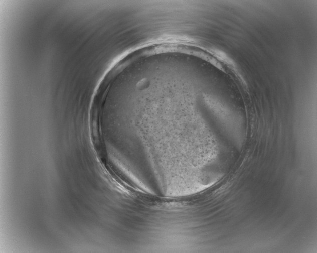 X0000061761280200512161733