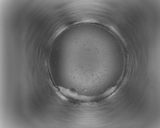 X0000061761281200512161733