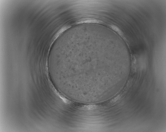 X0000061761282200512161733