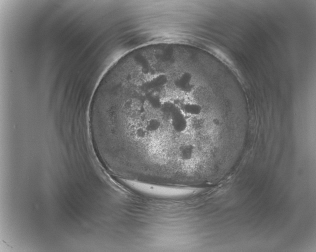 X0000061761283200512161733