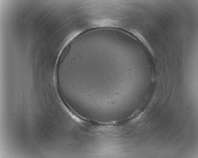 X0000061761285200512161733