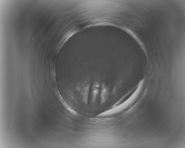 X0000061761289200512161733