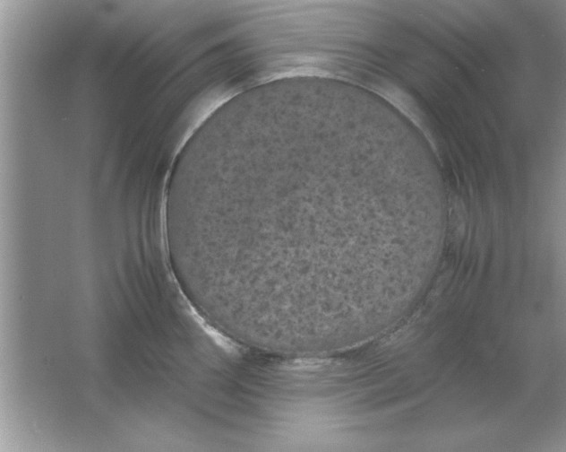 X0000061761290200512161733