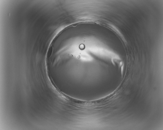 X0000061761291200512161733