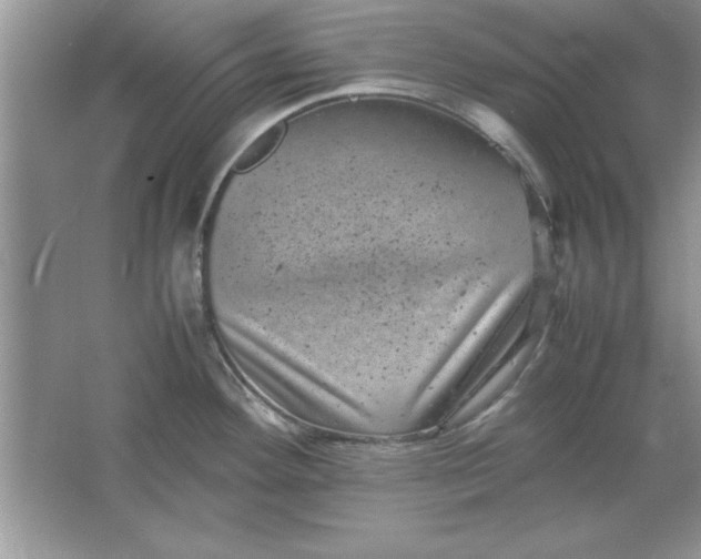 X0000061761292200512161733