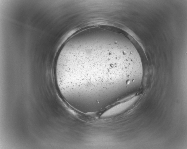 X0000061761293200512161733