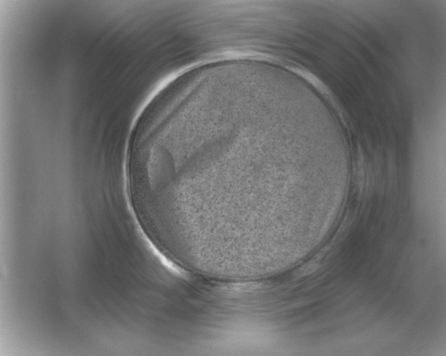 X0000061761294200512161733