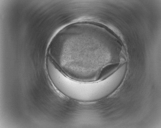 X0000061761296200512161733