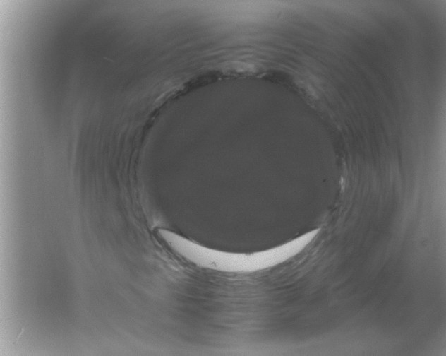 X0000061761297200512161732