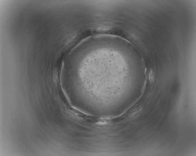 X0000061761299200512161732