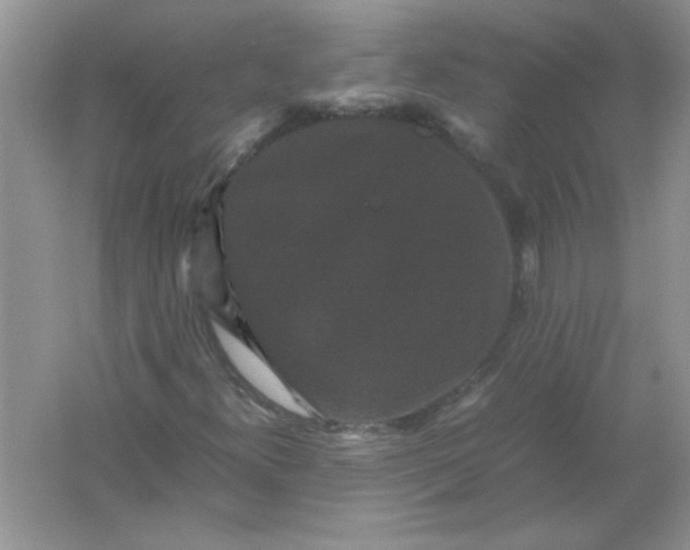 X0000061761300200512161732