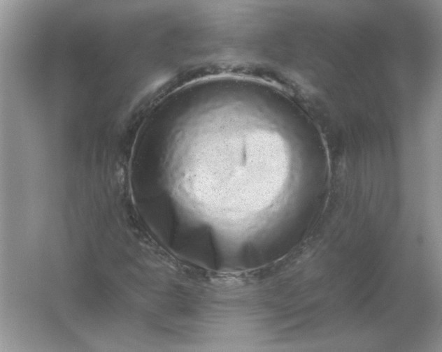 X0000061761302200512161732