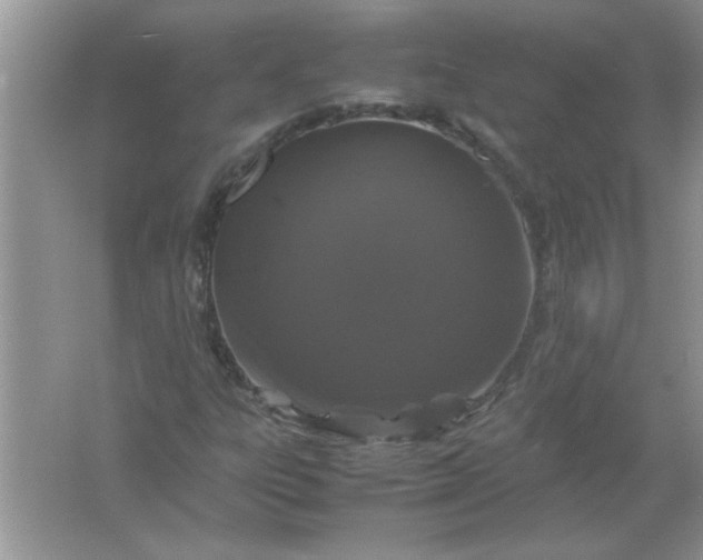 X0000061761303200512161732