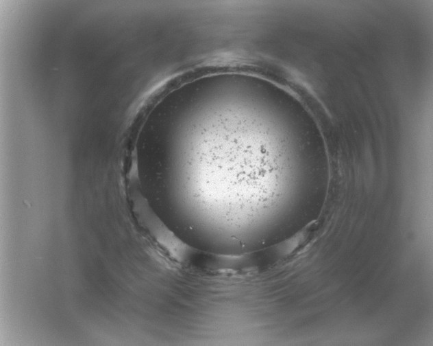 X0000061761304200512161733