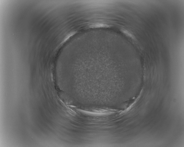 X0000061761305200512161733