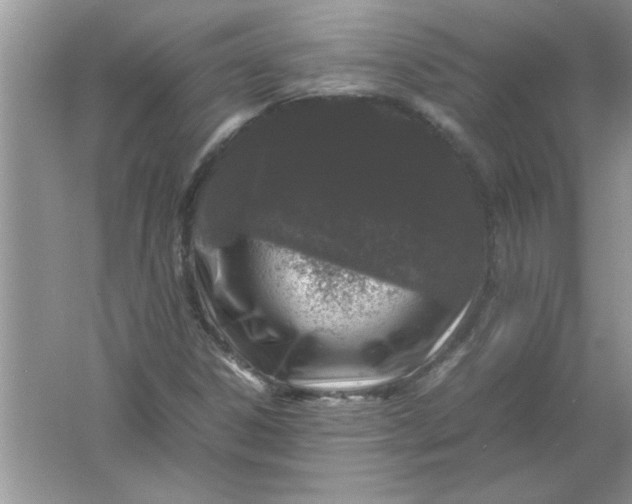 X0000061761306200512161733