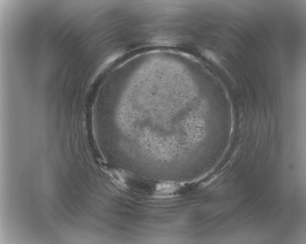 X0000061761307200512161733