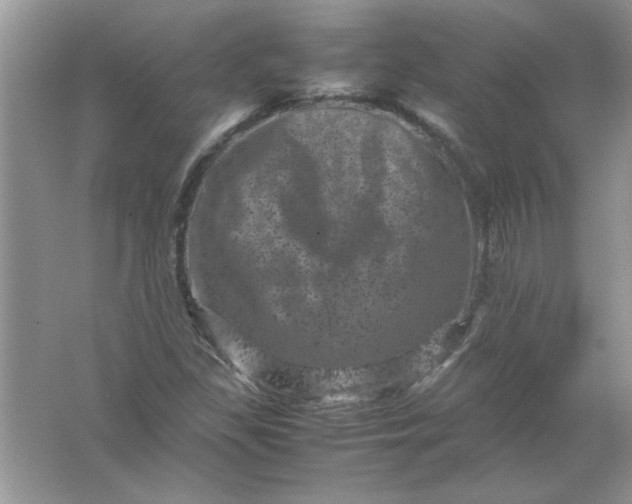 X0000061761309200512161733