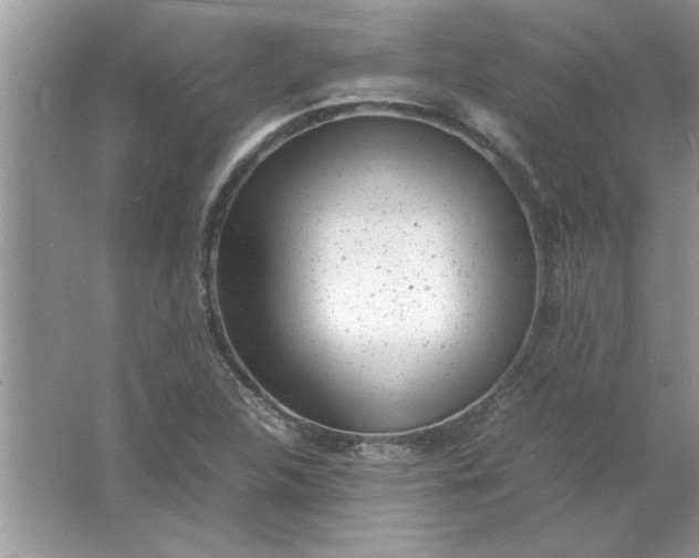 X0000061761312200512161733