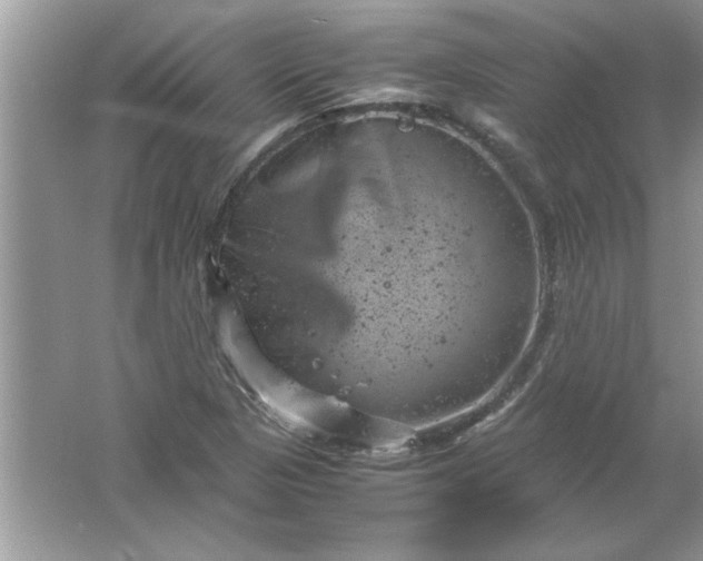 X0000061761313200512161733