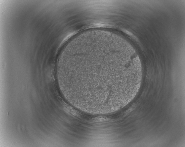 X0000061761314200512161733