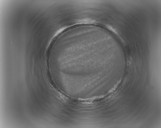 X0000061761315200512161733