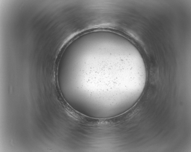 X0000061761316200512161733