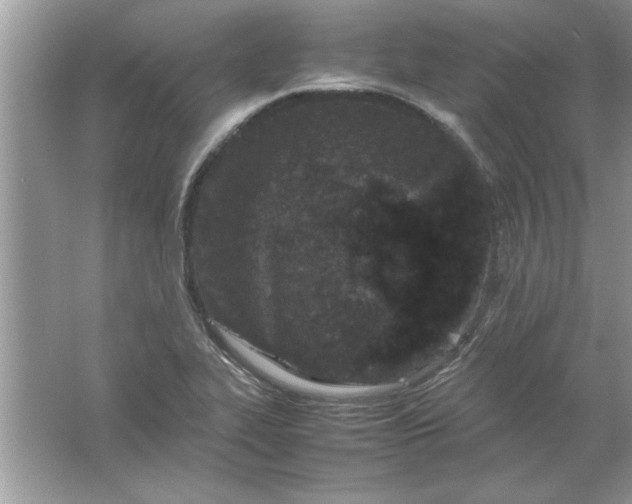 X0000061761319200512161733