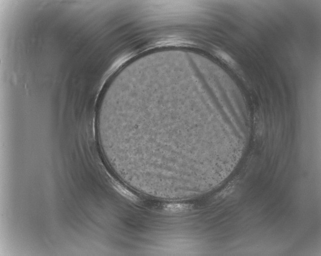 X0000061761322200512161733