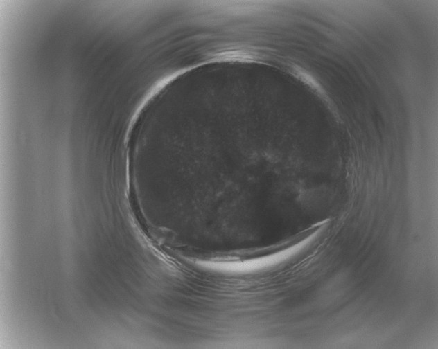 X0000061761323200512161733