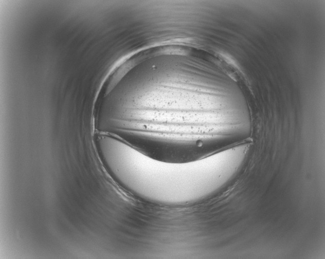 X0000061761324200512161733