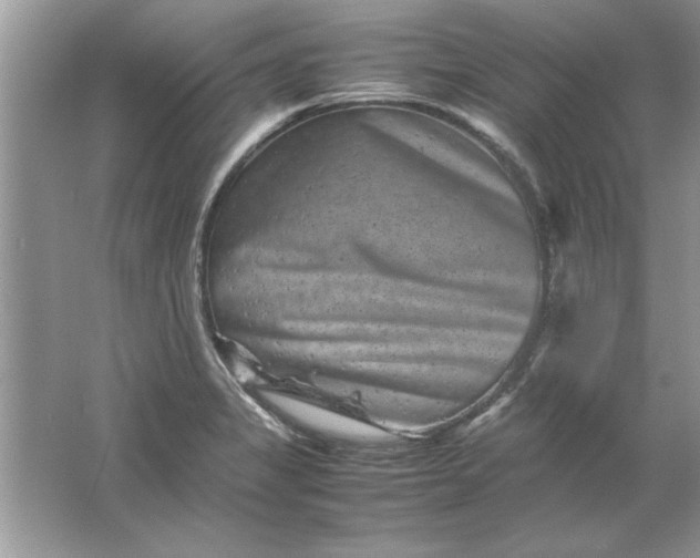 X0000061761325200512161733