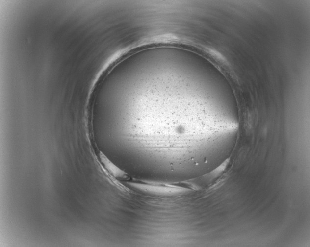 X0000061761326200512161733