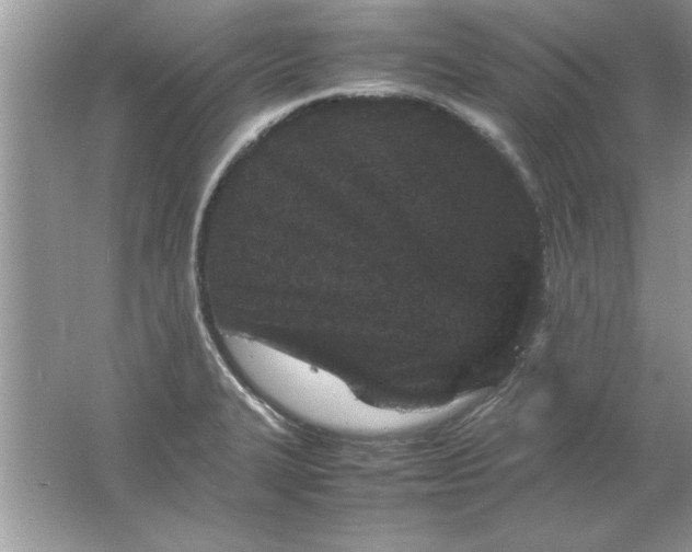 X0000061761327200512161733