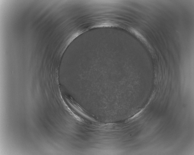 X0000061761329200512161733