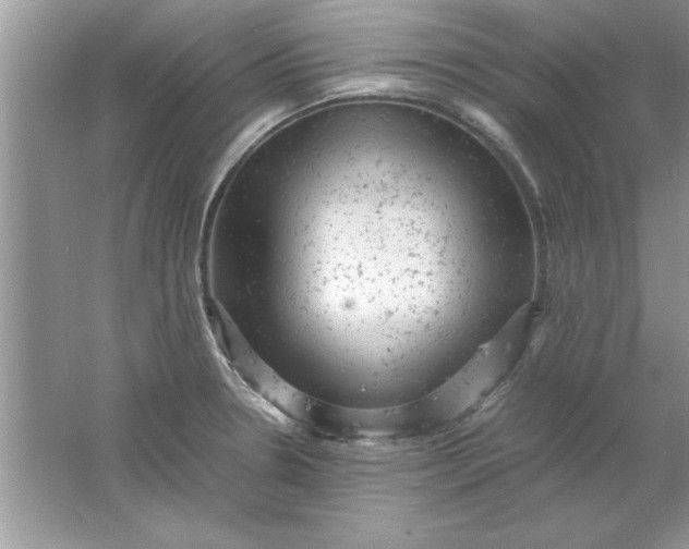 X0000061761330200512161733