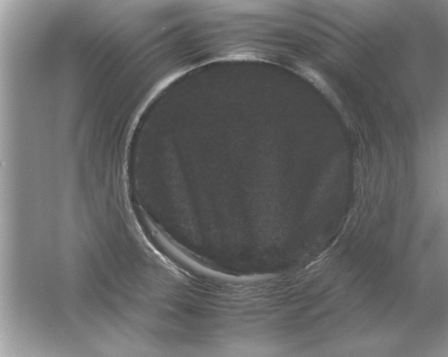 X0000061761331200512161733